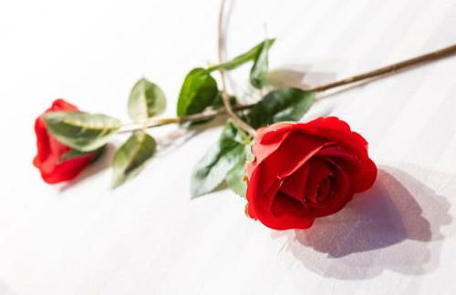 Le Pont des Amoureux Jacuzzi Wifi - Foto 14