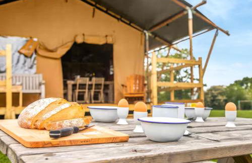 Cuckoo - Safari Tent - Ukc8981 - Foto 11