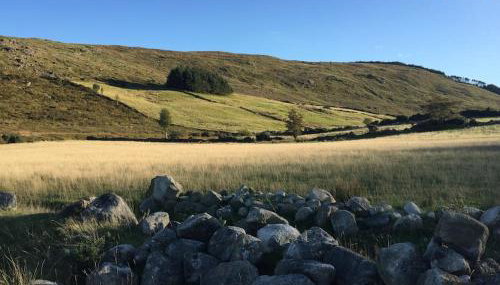 Reid's Hall - Foto 1