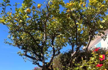 Palumbalza Marinella sea - Foto 39