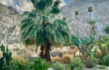 Peaceful Desert Retreat Mountain View Studio Condo Indian Wells - Foto 10