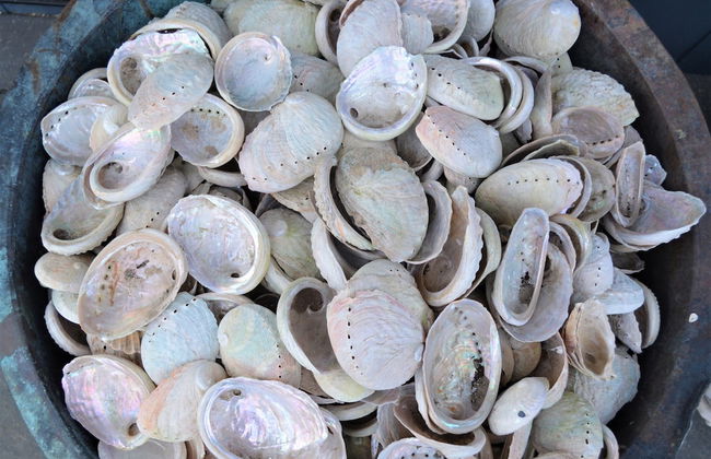 Flotsam Studio Accommodation - Photo 62