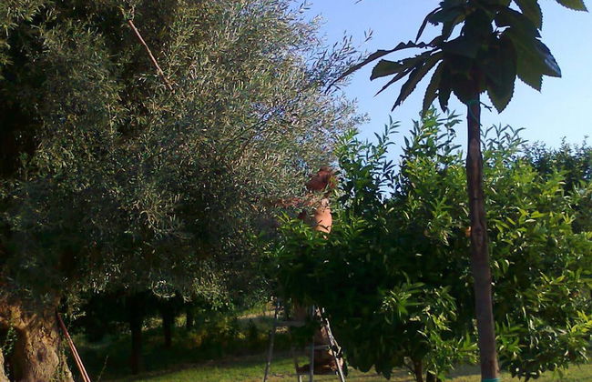 Authentic Sicilian Charm With Pool, Sea View, Parking & Wifi - Foto 72