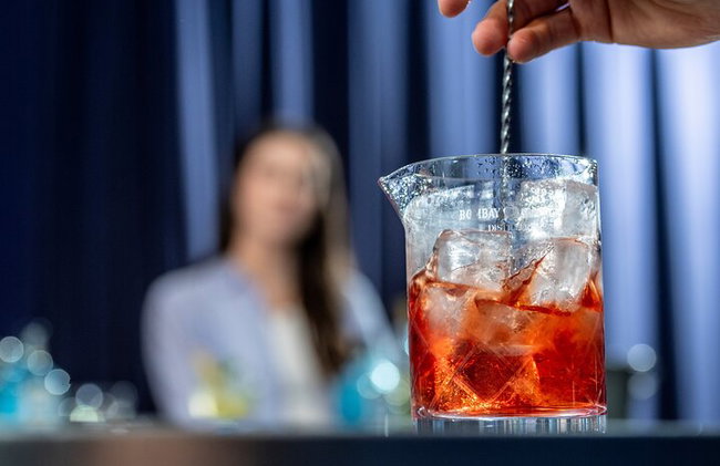 Tour y clase magistral de cócteles con ginebra Bombay Sapphire - Foto 11