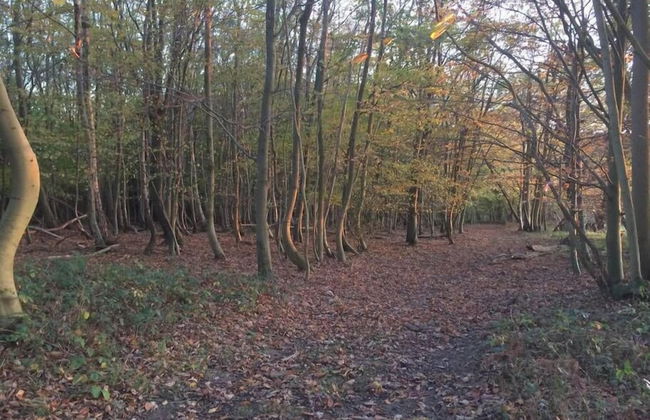 Oak House Farm - Foto 10