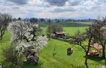 Ferienwohnungen Loisenhof - Foto 8