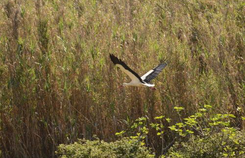 Quinta dos Trevos - Artes e Ofícios - Foto 57