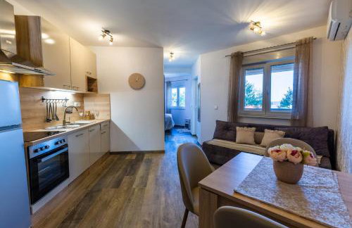 Oliva Vallis Apartments - Foto 66