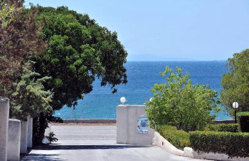 Sarwnisland - Photo 30