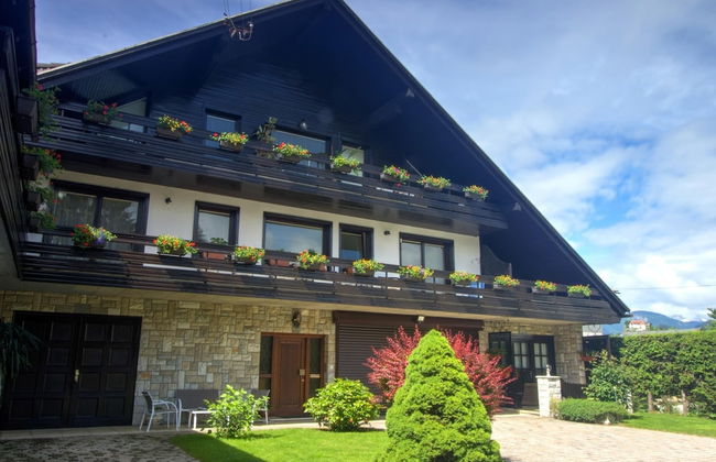 Nice Apartment Near Lake Bled With Views Over Stol Mountain - Foto 1