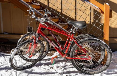 Bluebird Day - Treetop Studio - Foto 18