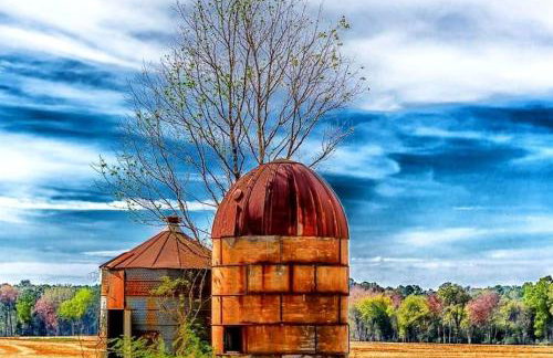 Gorgeous Tiny House with Indoor and Outdoor Lounging Space in Alabama - Foto 23