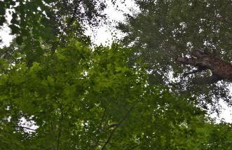 Camping Orpheus Apartments - Foto 61