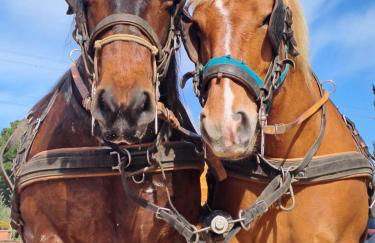 Agriturismo Gli Archi - Foto 43