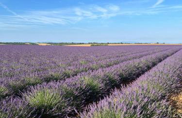 Les Grandes Conches - Foto 14