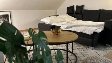 Oasis Appart - Wohnen am Elbtal Dresden - Balkon - Netflix - Tiefgarage - Foto 5