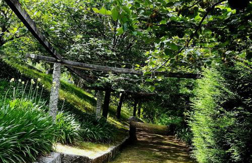 Quinta de S. Vicente 317 - Foto 50