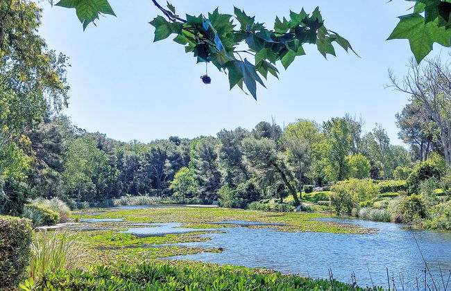 Les Rivages de Coudoulière - Foto 47