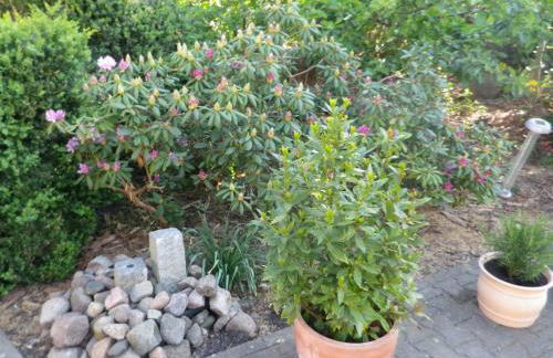 Alte Malztenne im Herzen der Schorfheide - Foto 9