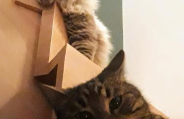 Belle villa récente de 120 m2 avec piscine - Photo 31