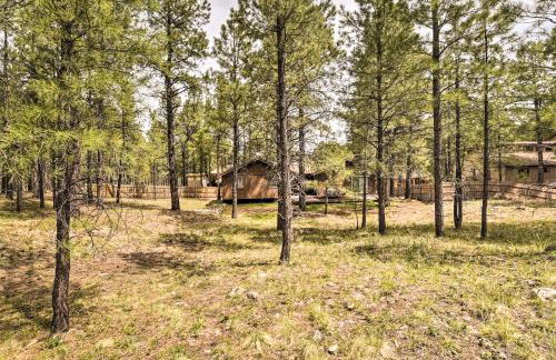 Flagstaff Home with Back Deck - 5 Mi to Downtown - Photo 29