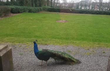 Eta's Manor @ Brooklands - Foto 24