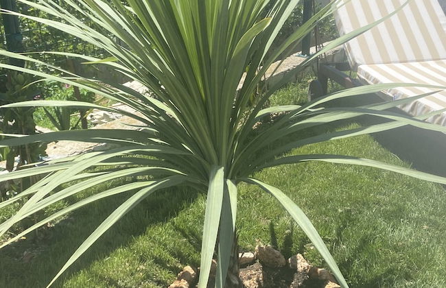 Villa Mediterra Garden & Pool - Foto 24