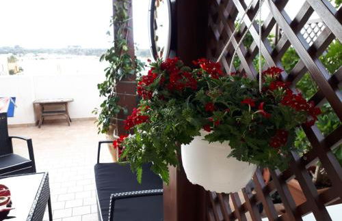 Blu Terrace - Foto 58