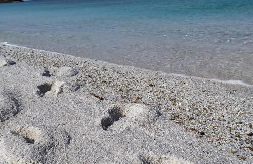 La Casetta - Foto 31