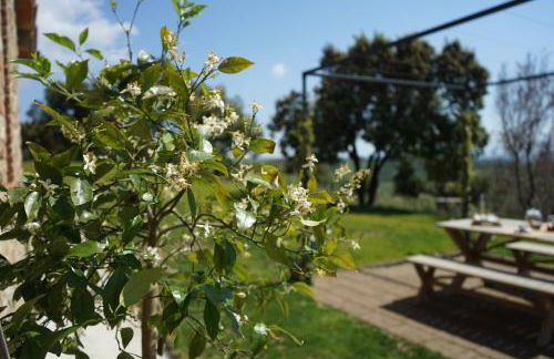 Marrucheti 82 - Foto 30