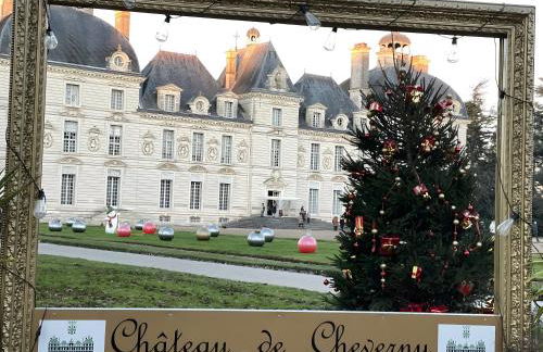 Gîte Du Centre - Foto 22