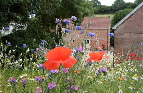 The Teddy House - Foto 20