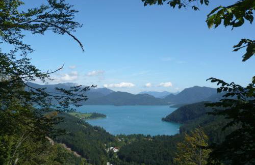 Ferienwohnung Steinhauser - Foto 32