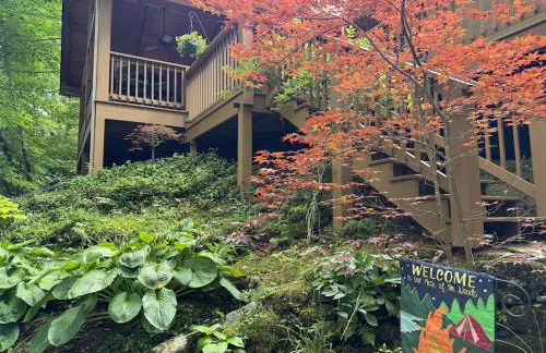 Tree Top Mountain Lodge - Photo 14