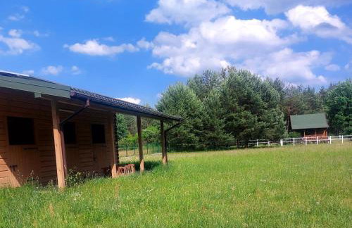 Domek w Sosnach - Foto 15