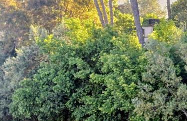 Tra Mare e Collina c'è Belmare - Foto 18