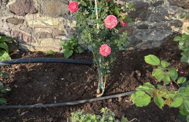 Elea Houses - Foto 41