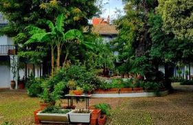 Andalusian Courtyard - Foto 69