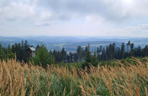 Apartament Mountains Góry Sowie - Foto 35