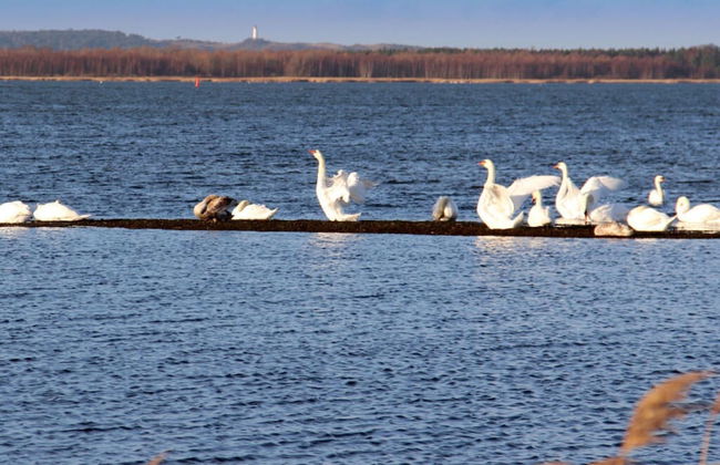 Ufer 7 Comfortable Holiday Residence - Foto 15