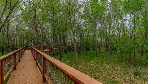 Cozy Cottage • 2 King Beds • Grove • Kayaks • Washer/Dryer - Foto 4
