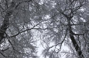 Apartment Schneeburg - Photo 28