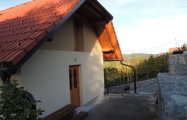 Vineyard cottage Pod piramido - Foto 23