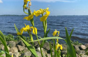 Ferienhaus Anni - Foto 57