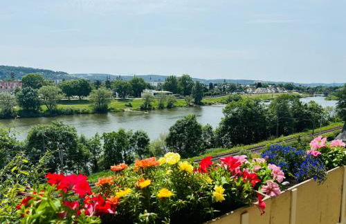 Spacious 72 sqm Moselblick apartment & top connection - Foto 1