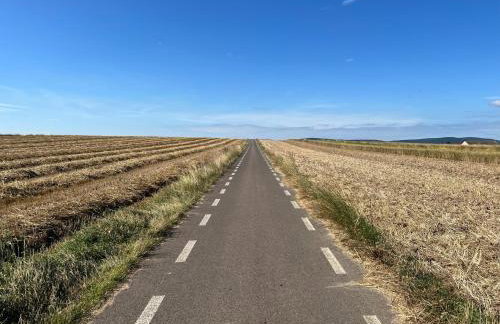 W Kręgu Natury - Foto 31