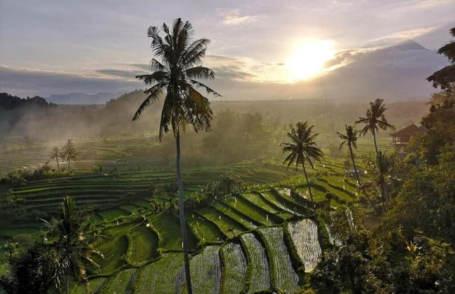 Villa Di Bias - Foto 29