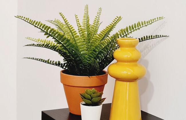 Bilbao APARTAMENTOS Zorroza - Foto 24