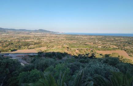 Villa del Palmeto - Foto 30