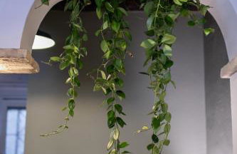 La casa di Hestia - Photo 32